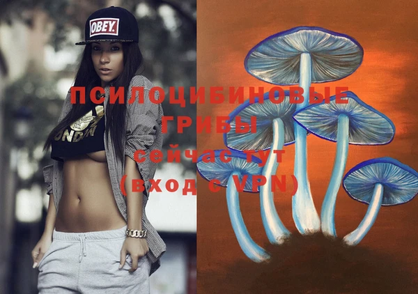 ECSTASY Магас