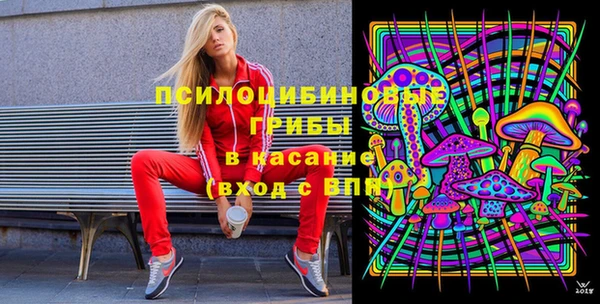 амф Мегион