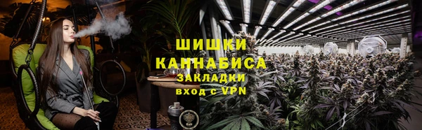 амф Курчалой