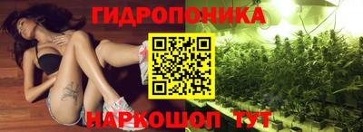 гидропоника Заводоуковск
