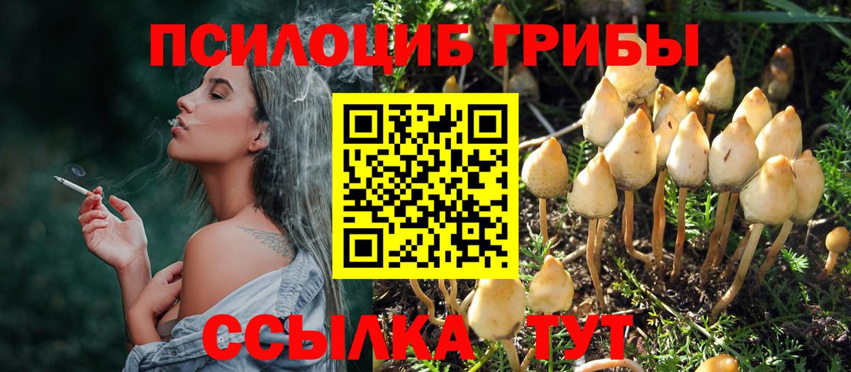 Галлюциногенные грибы ЛСД  Галлюциногенные грибы Psilocybine cubensis  Можайск 