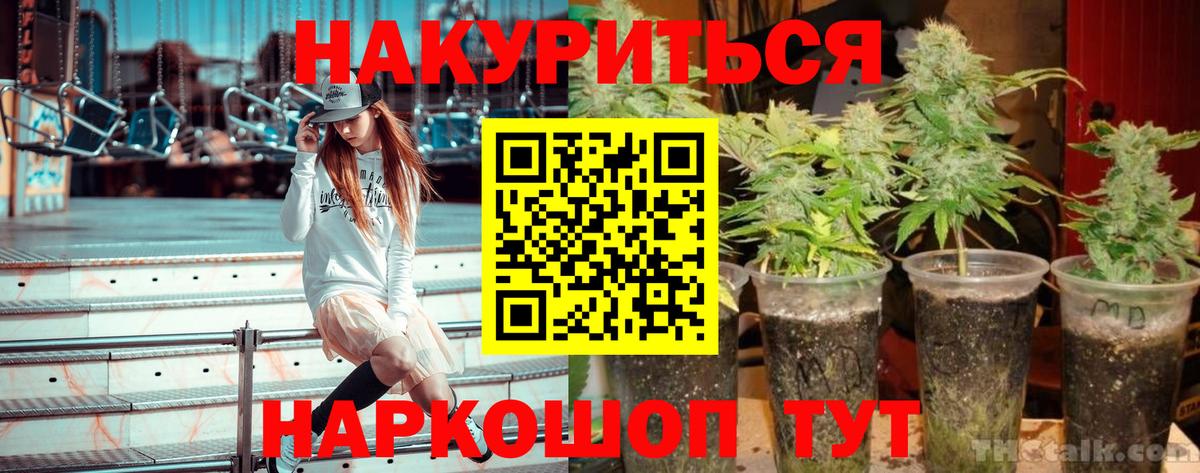 Канабис OG Kush Можайск